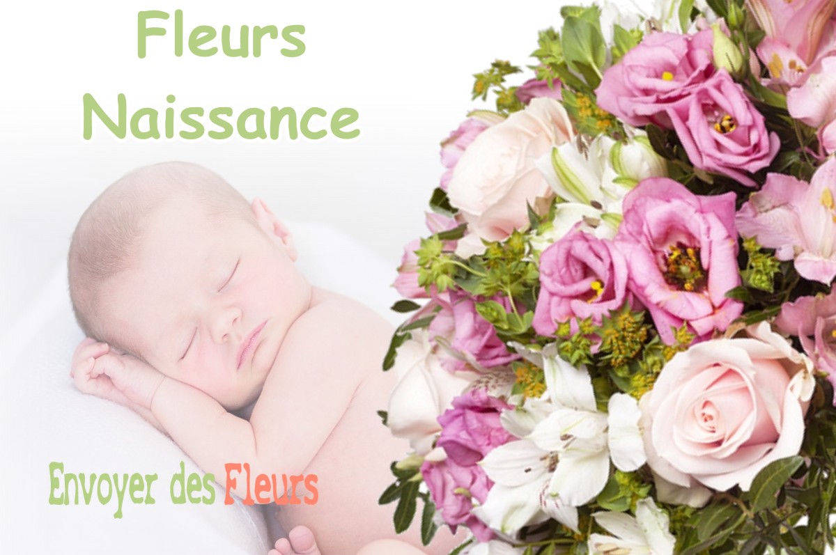 lIVRAISON FLEURS NAISSANCE à LEMMES